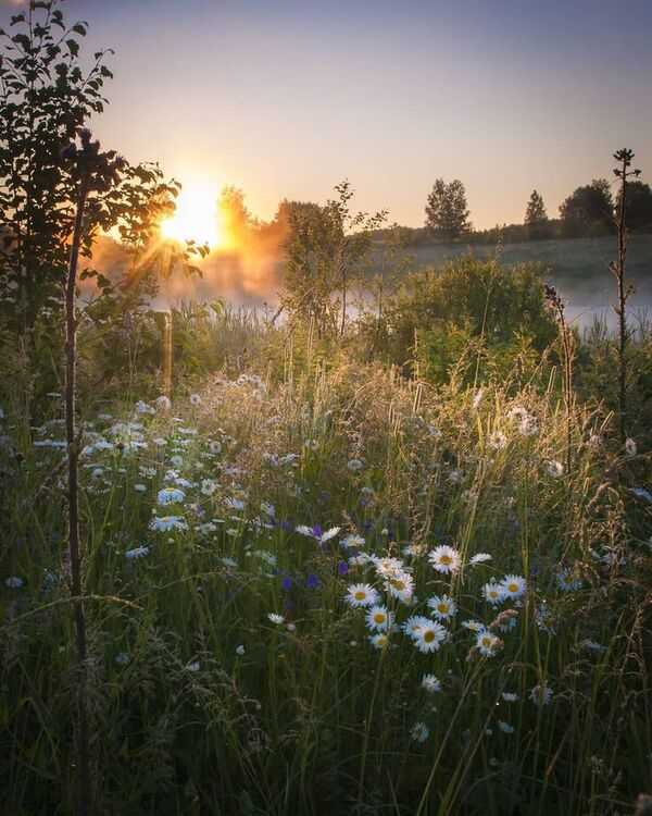 Rauhallinen maisema luonnossa pehmeässä valossa